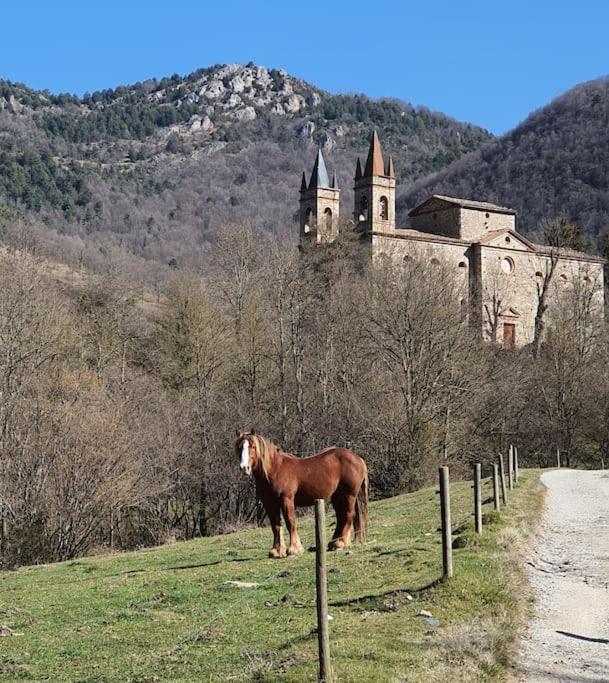 El Mussol De La Vila Camprodon, Balconets Amb Vistes A La Placa ภายนอก รูปภาพ